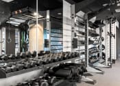Thumbnail 19 of 53 - a row of black dumbbells in a gym